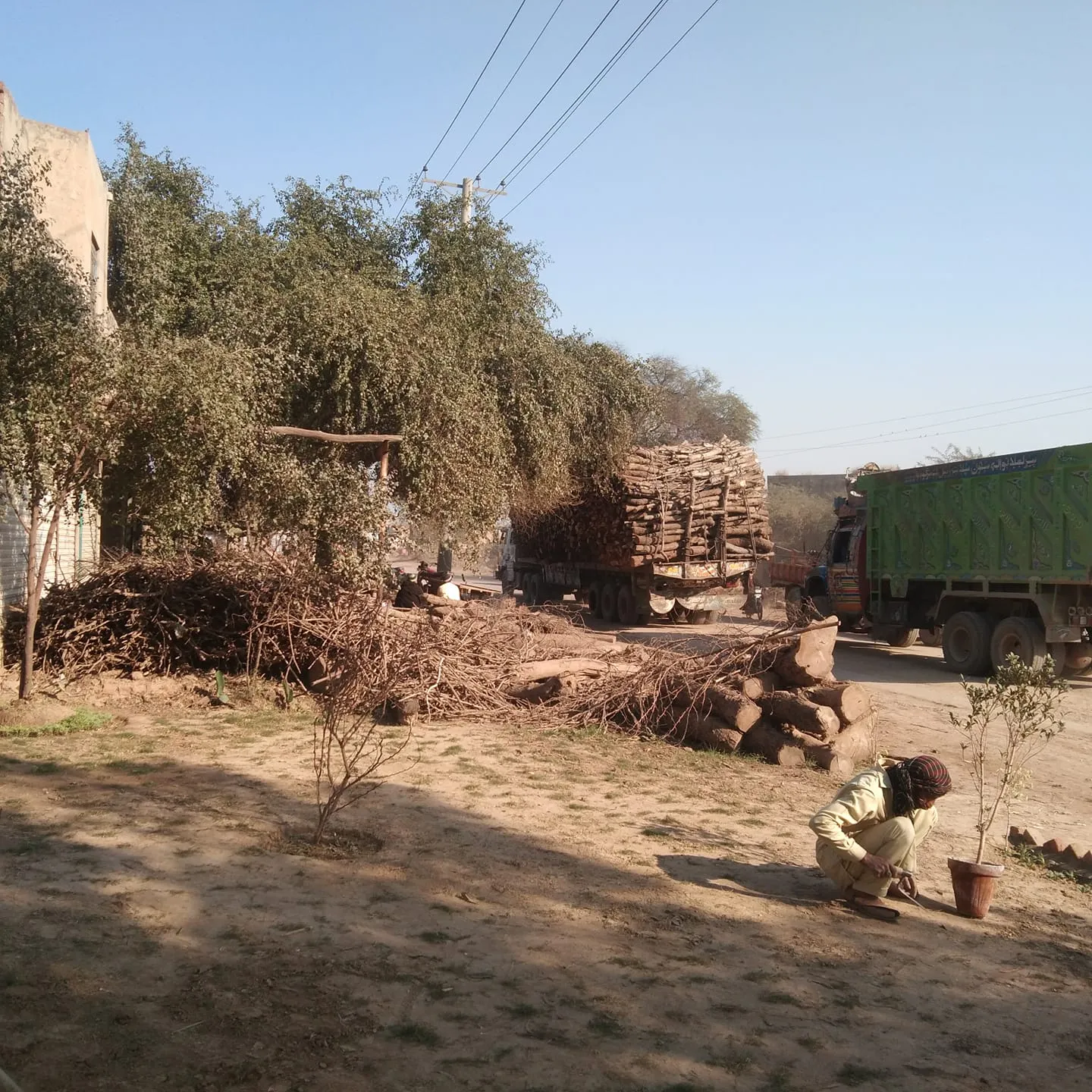 Green Seekers Activity